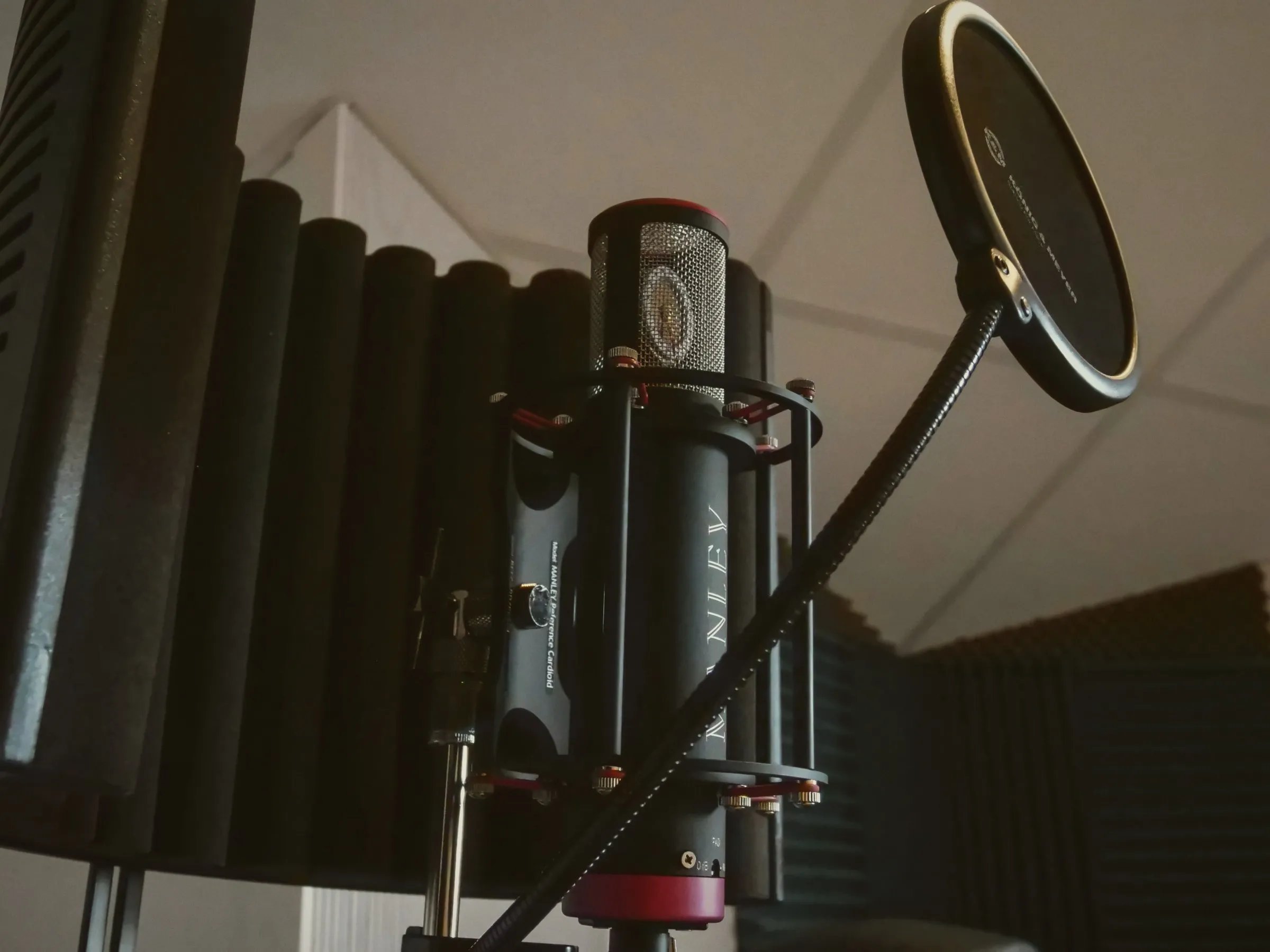 Manley Reference Cardioid med reflexfilter och poppskydd i IVORY
